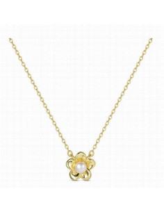 9125527   Collar Plata...