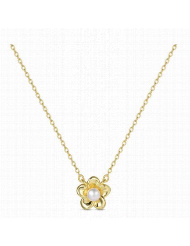 9125527   Collar Plata Chapada Lucia...