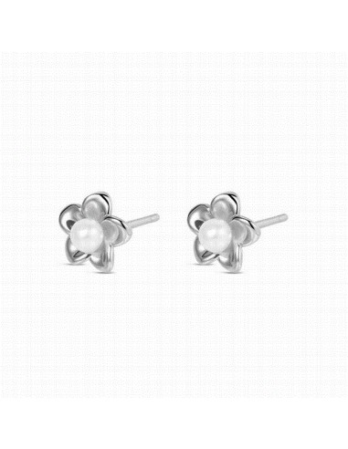 9125528   Pendientes Plata Rodiada...