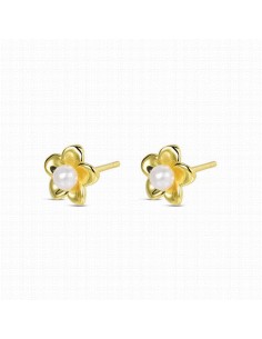 9125529   Pendientes Plata...