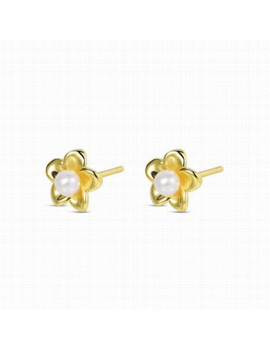 9125529   Pendientes Plata Chapada...