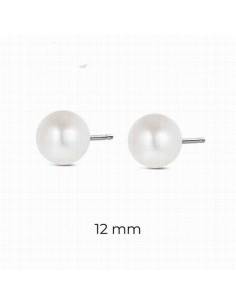9125667   Pendientes Plata...