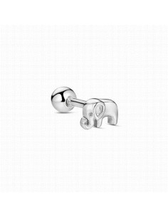 9124492   Piercing Plata...