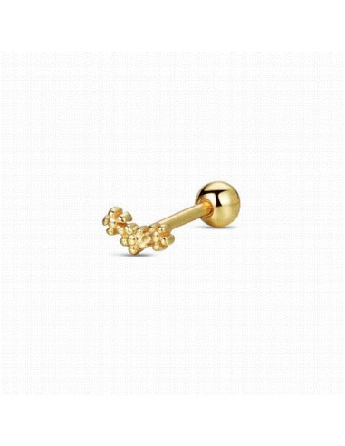 9124501   Piercing Plata Chapada...