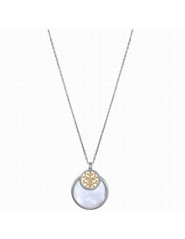 13272C100-60   Collar Plata Bicolor...