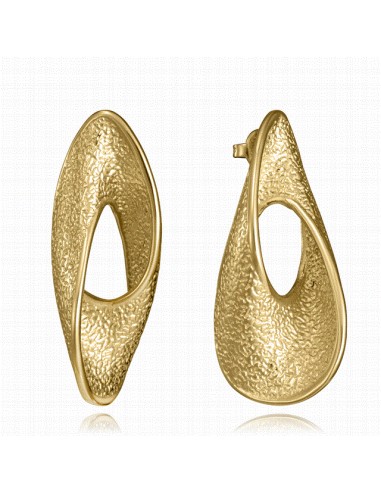 14369E01012   Pendientes Acero Ip...