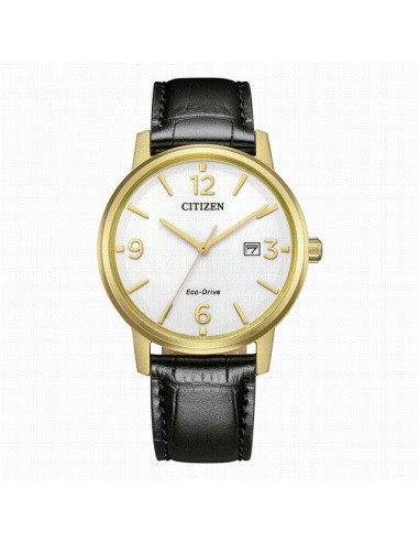 BM6756-01A   Reloj Hombre Acero Ip...