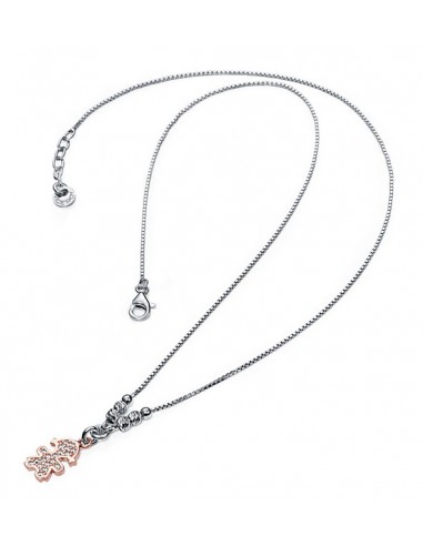 1183C100-59  *  Collar Plata Chapado...
